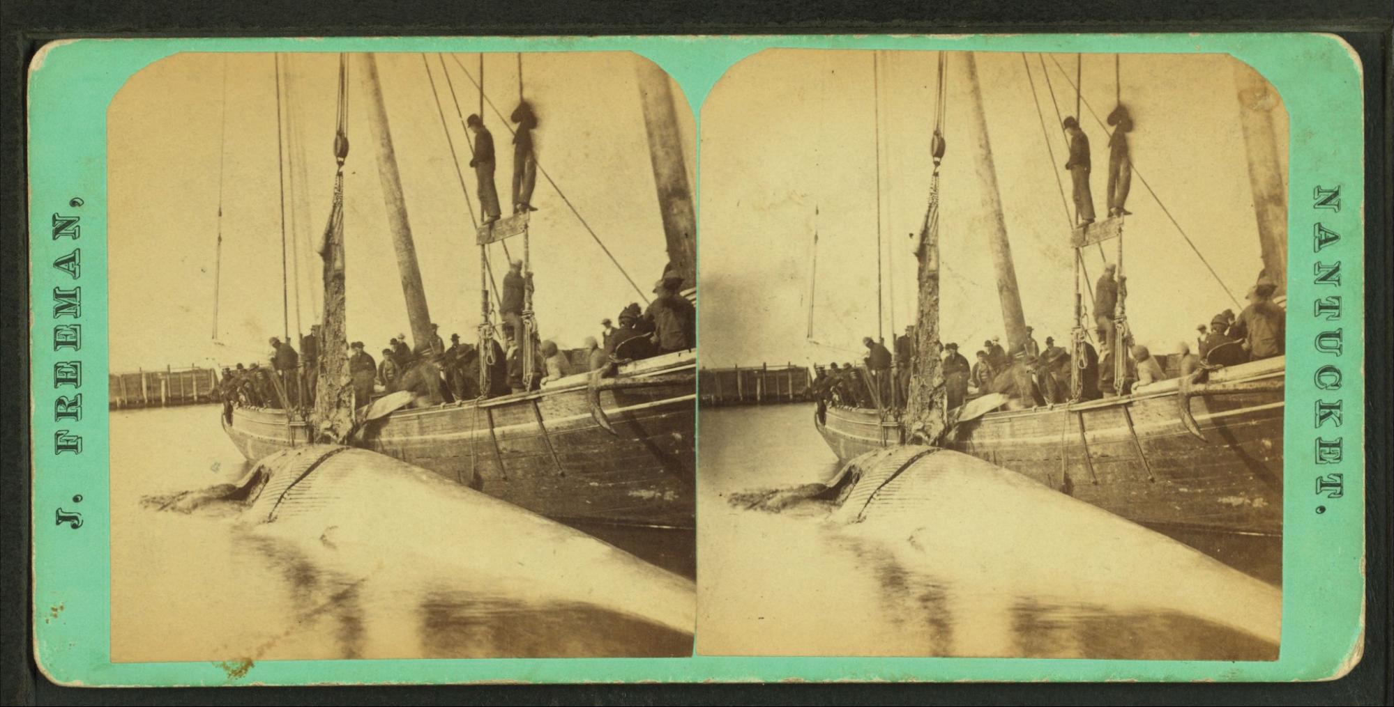 Source: NYPL archives