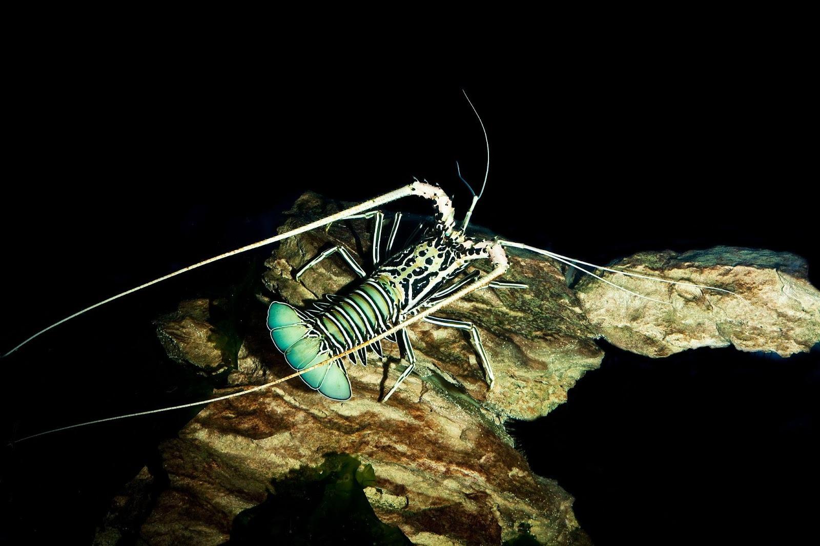 Bioquatic Photo via Alamy