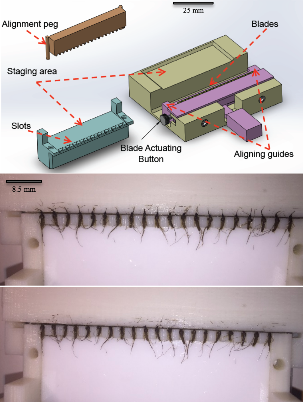 From Schrum et al. (2019). Open access on arXiv