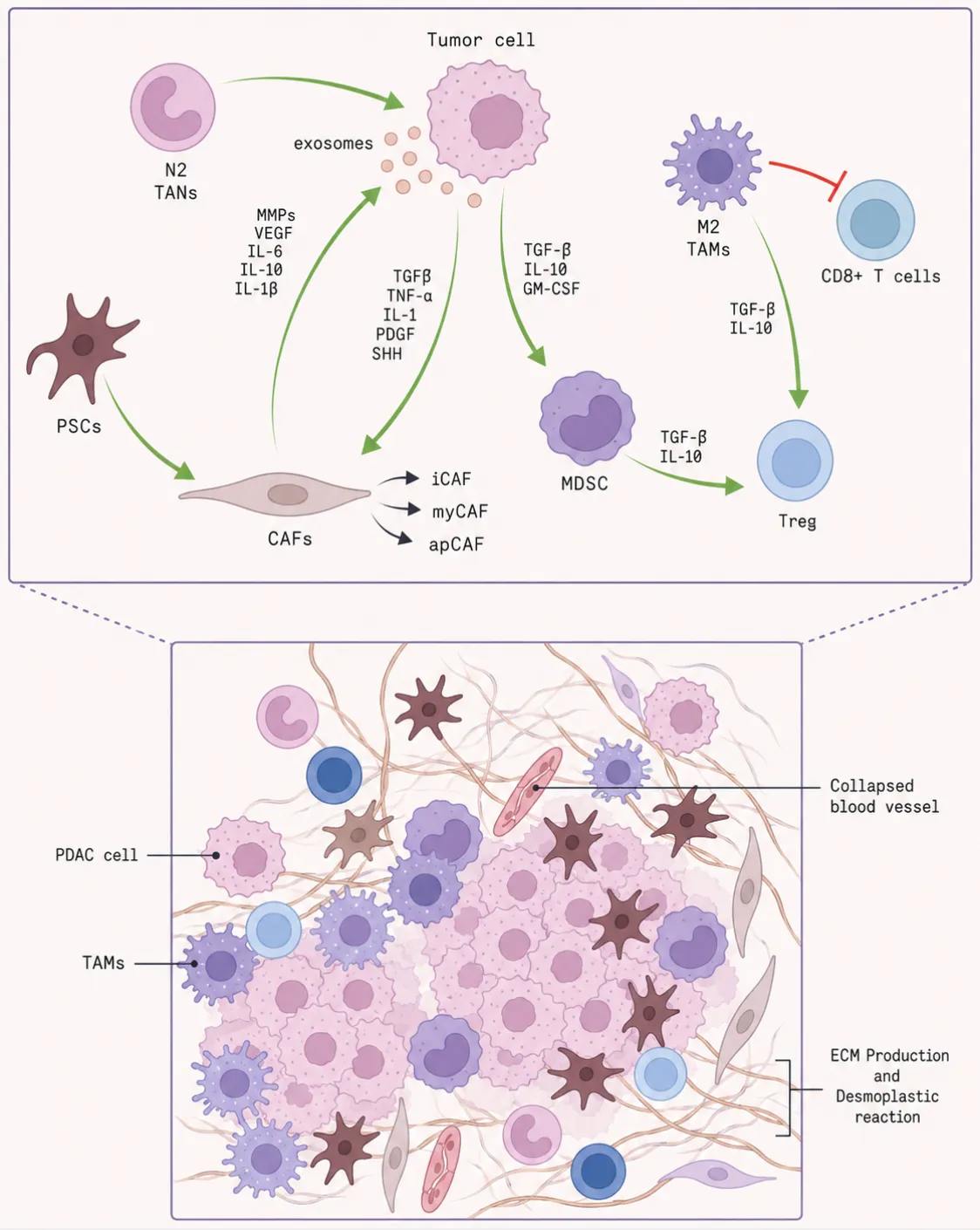 Frontiers in Immunology.