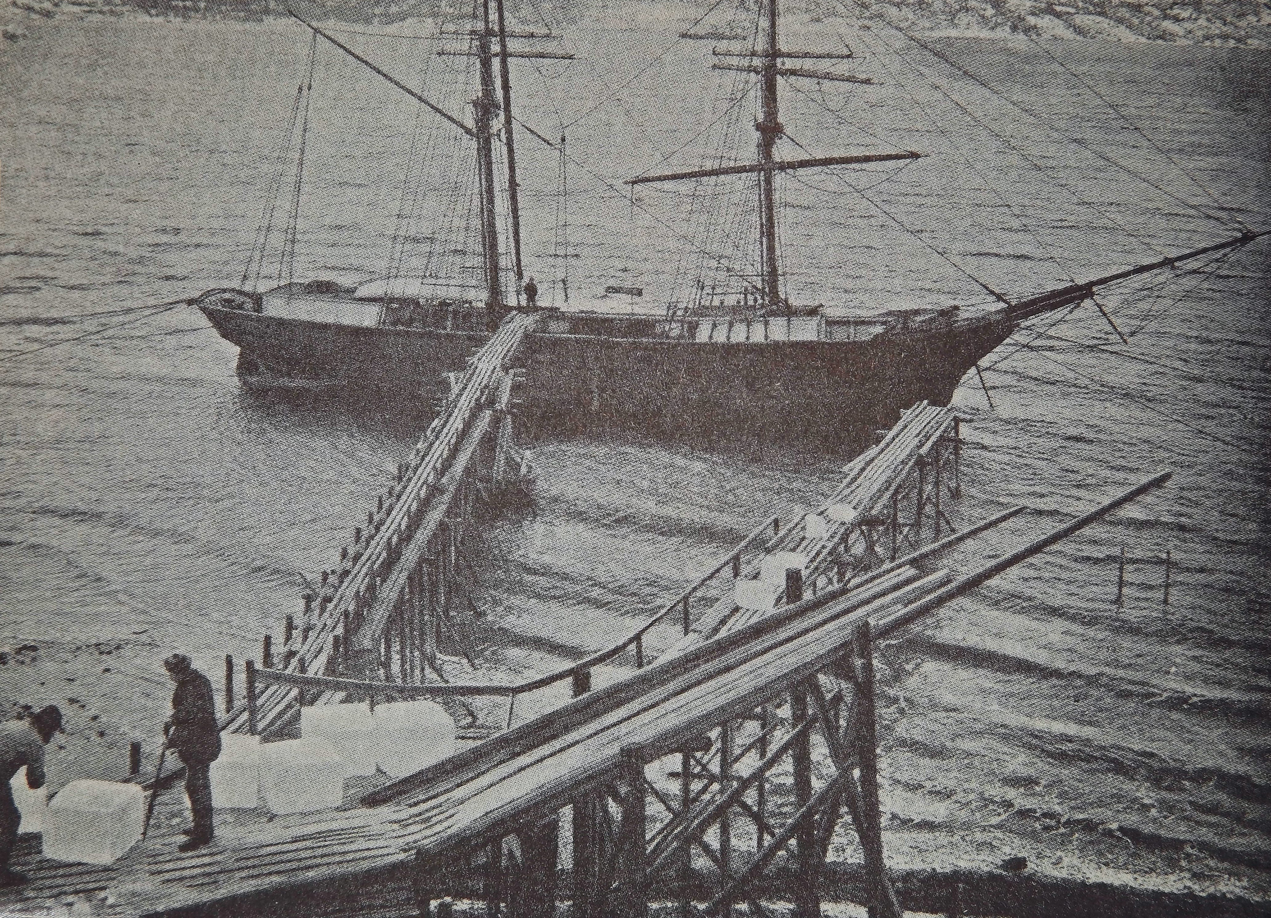 Wikimedia Commons