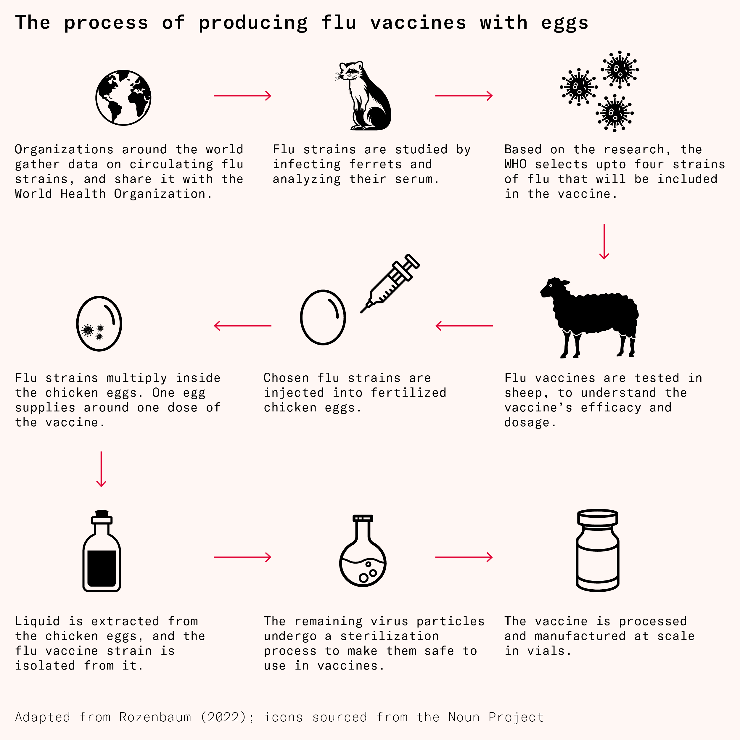 flu vaccine production steps