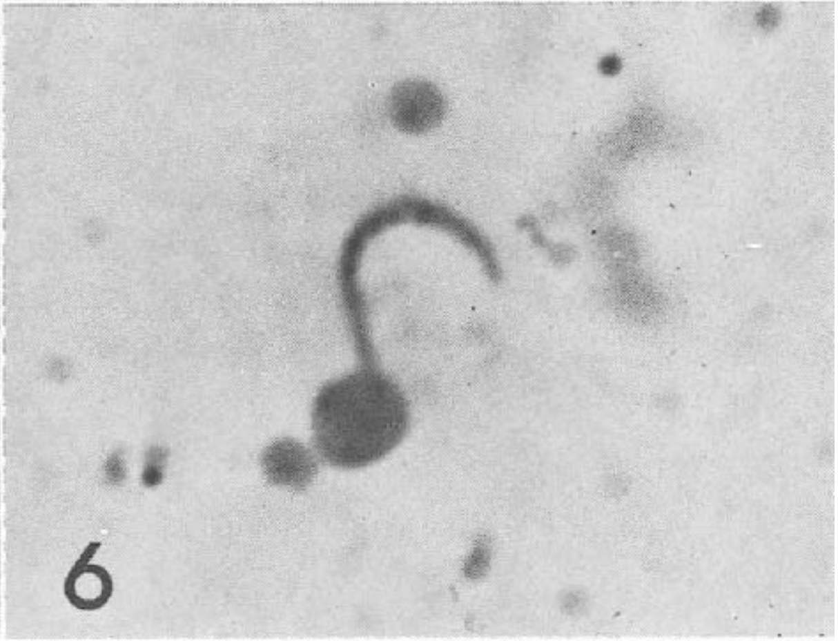 From Vanderberg et al. (1969)
