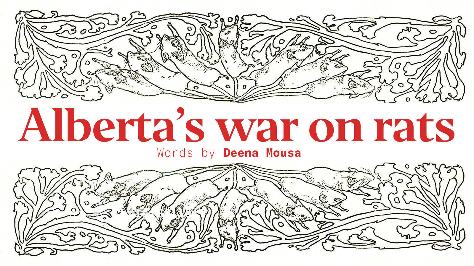 How Alberta Eradicated Rats